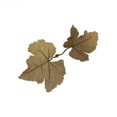 Novritsch Leaf Camo – LC1 - Carob image