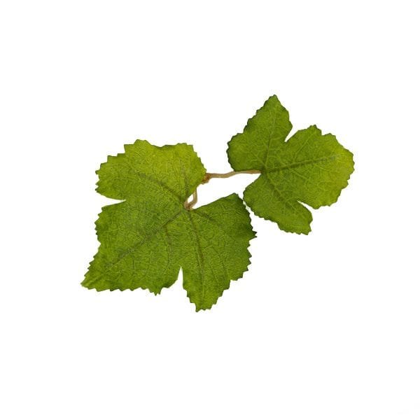 Novritsch Leaf Camo – LC1 - Fern image